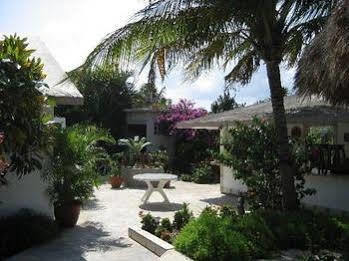 Baldwin'S Guest House Cozumel Dış mekan fotoğraf